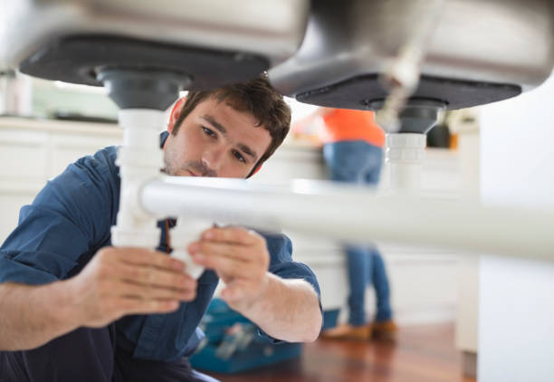 Best Local Plumber Services  in Royersford, PA